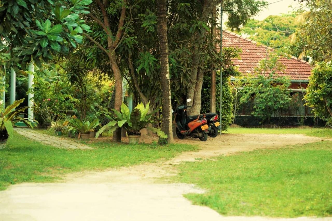 Panora Garden Otel Mirissa Dış mekan fotoğraf